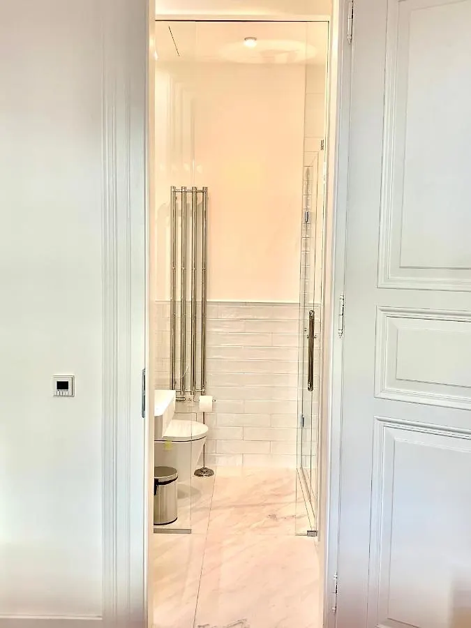 Palace Dlazdena Central Apartment - New Town 布拉格